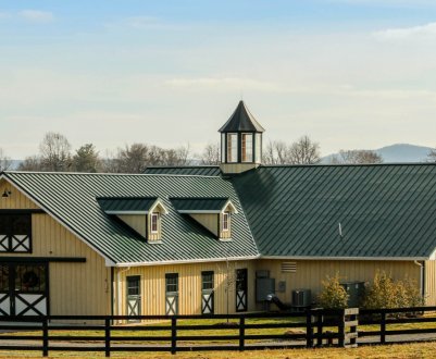 У Великобританії жителі протестують проти закриття шкільної ферми
