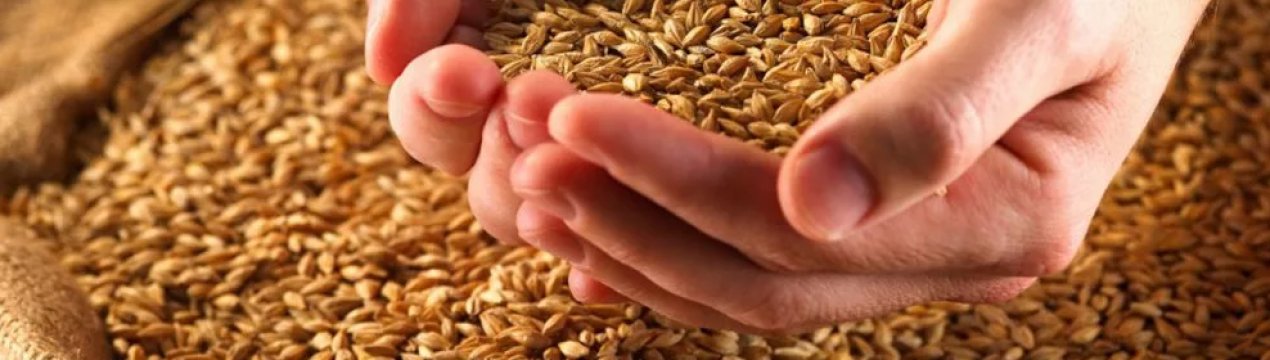 В Ірландії молочники закликають до маркування білка в кормах