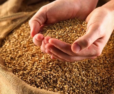 В Ірландії молочники закликають до маркування білка в кормах