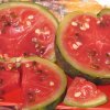 Арбуз квашеный кусочками