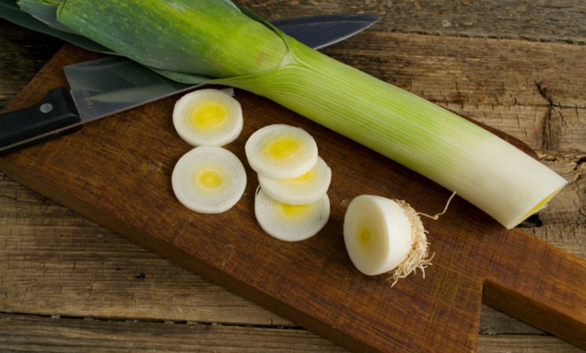 Цибуля порей Цибуля порей