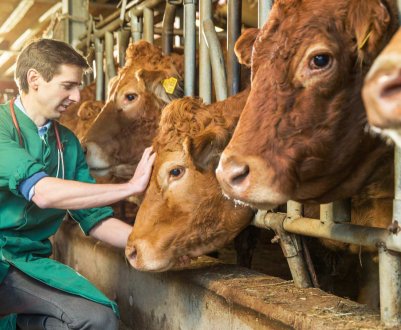 За три роки північнокавказькі фермери освоять два мільярди рублів