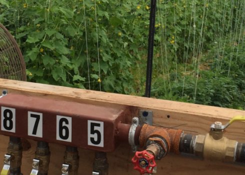 Обогрев теплицы из поликарбоната ранней весной: виды и способы