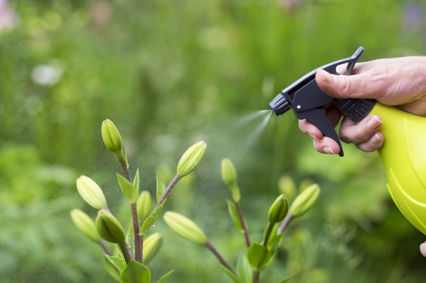 Черкаська область очищається від пестицидів Черкаська область очищається від пестицидів