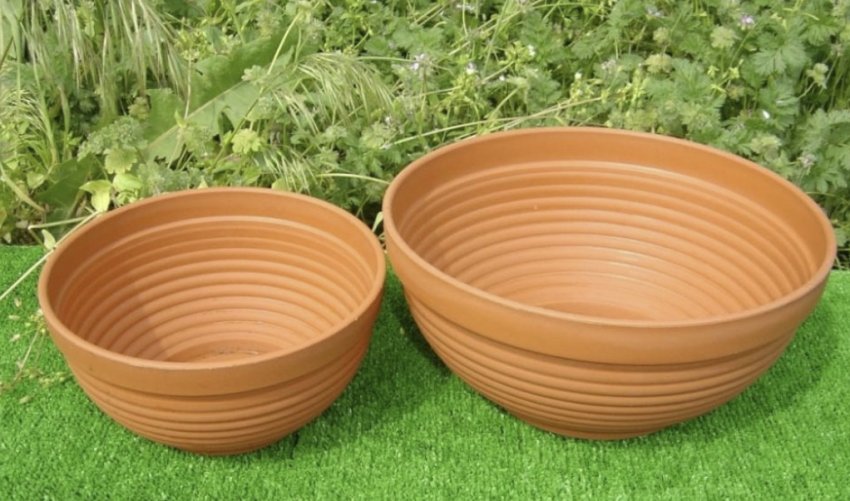 Широкі горщики Широкі горщики