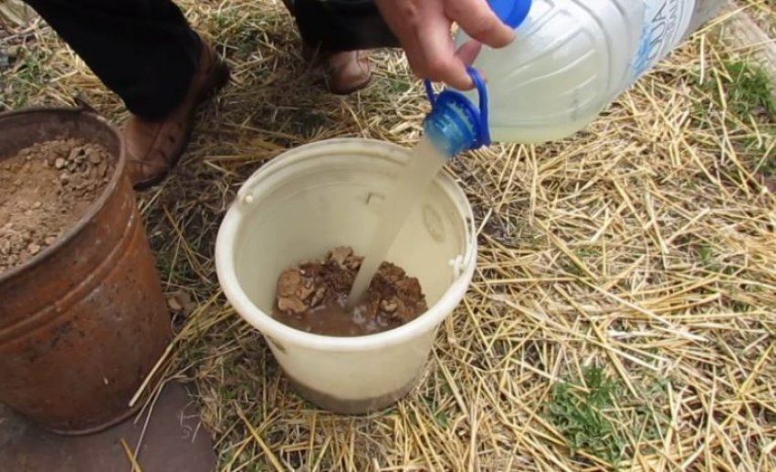Глиняна бовтанка для полуниці
