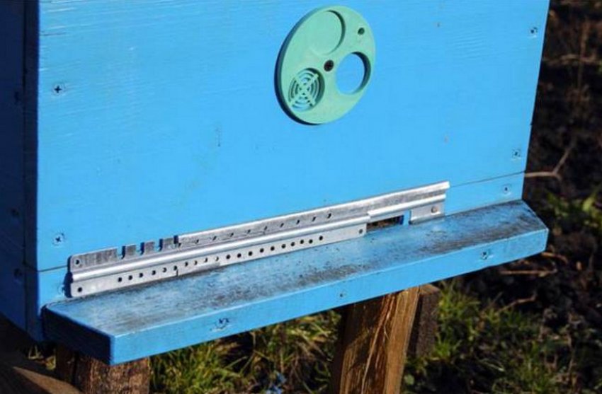 Льоток у вулику Льоток у вулику