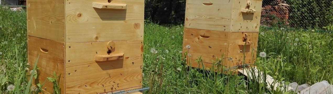 Готуємо льотки у вуликах до зими