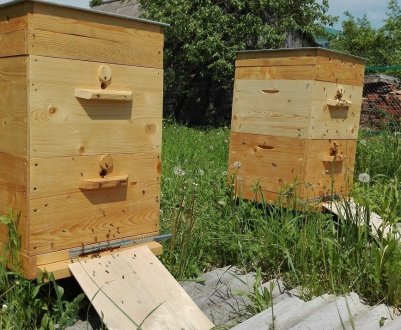 Готуємо льотки у вуликах до зими