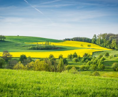 Друга декада травня обіцяє бути прихильною до російським аграріям