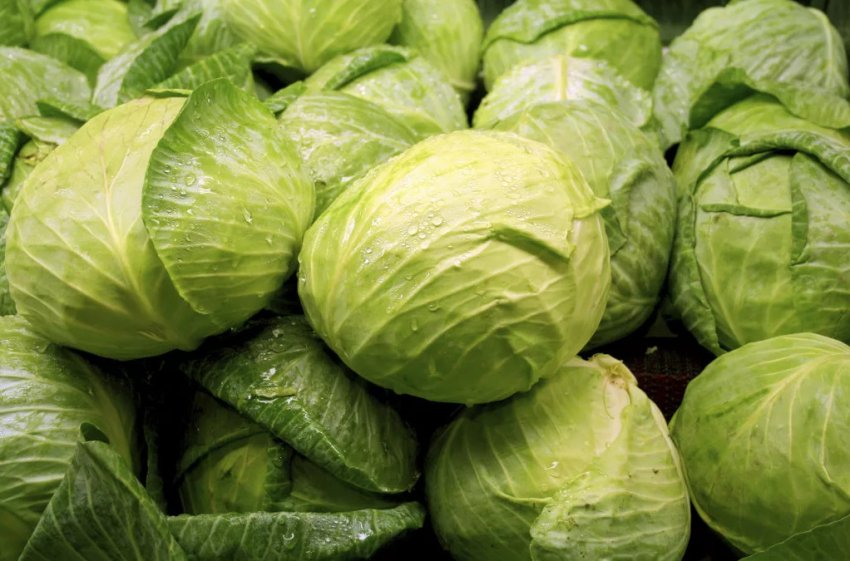Капуста для маринування