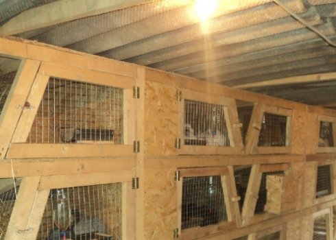 Як зробити клітки Золотухіна для кроликів своїми руками
