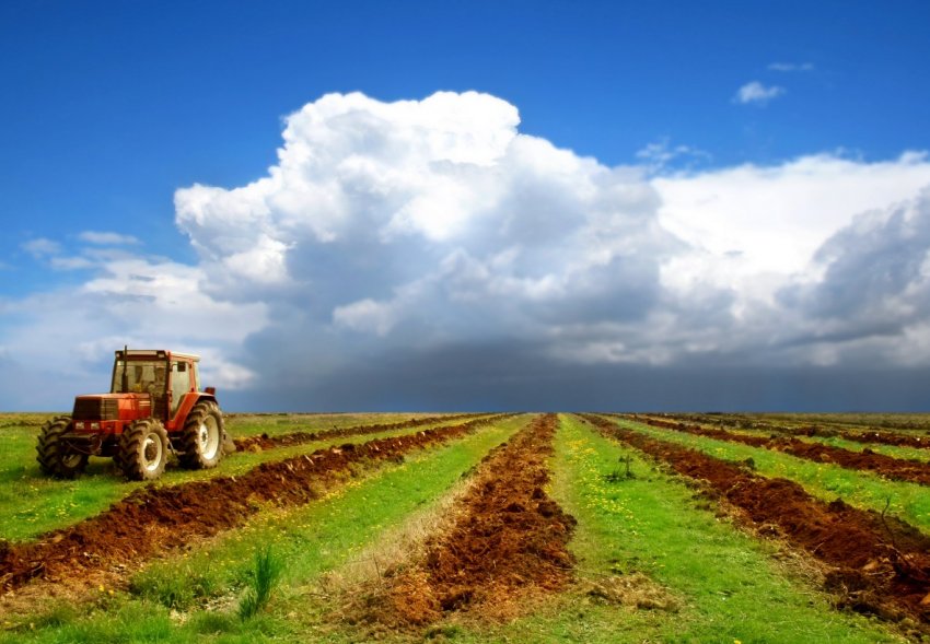 Друга декада травня обіцяє бути прихильною до російським аграріям Друга декада травня обіцяє бути прихильною до російським аграріям