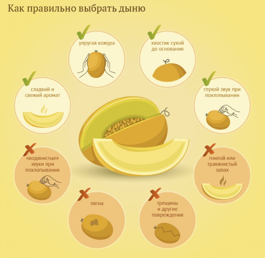 Як вибрати диню Як вибрати диню