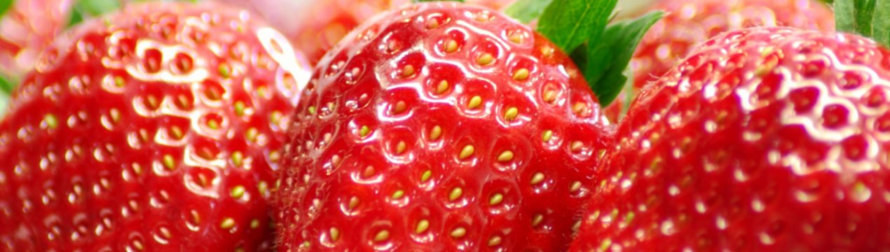 Західноукраїнські фермери втратили частину врожаю полуниці
