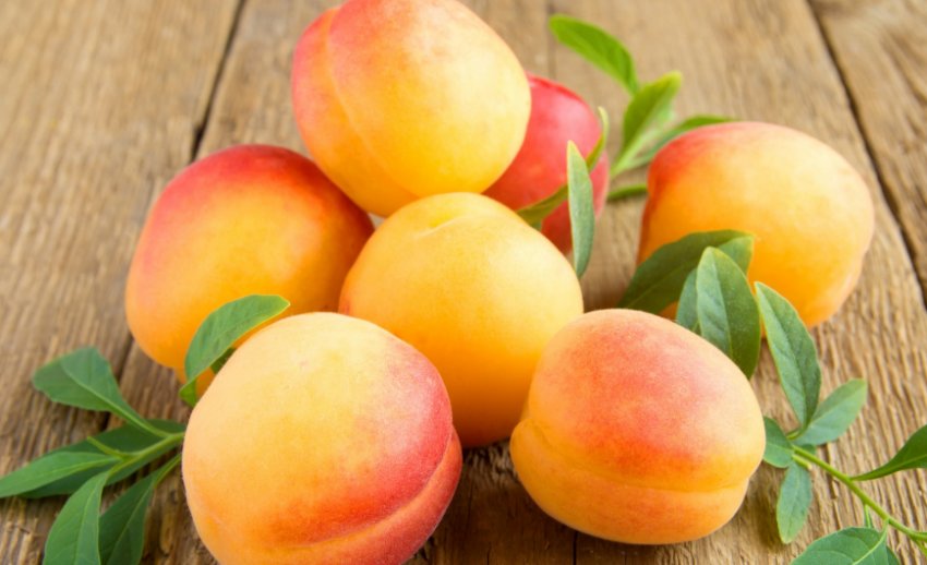 Абрикоси Абрикоси