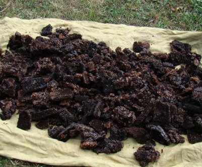  Бджолина мерва: що це, для чого і де використовують