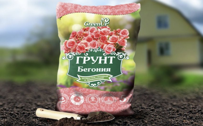 Поживний ґрунт для бегонії