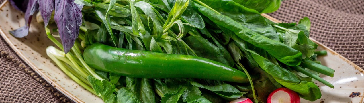 Фермер з Києва зелень вирощує на стелажах без грунту