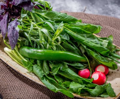 Фермер з Києва зелень вирощує на стелажах без грунту