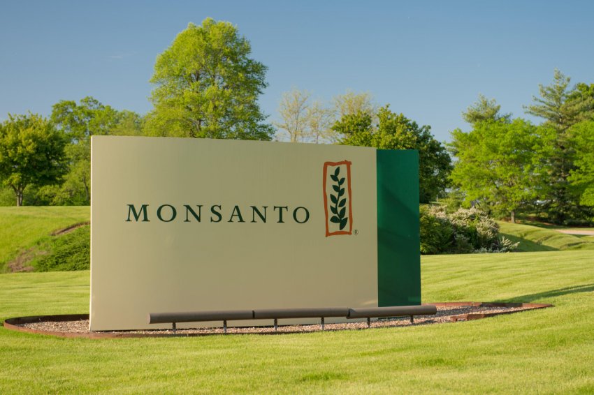 Monsanto знову «попав на гроші» з-за Roundup в Штатах Monsanto знову «попав на гроші» з-за Roundup в Штатах