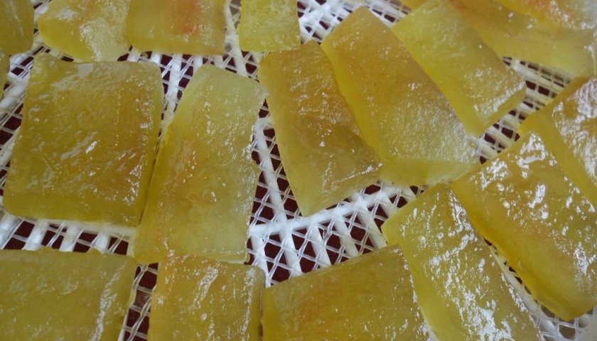 Цукаты из арбуза в сушилке