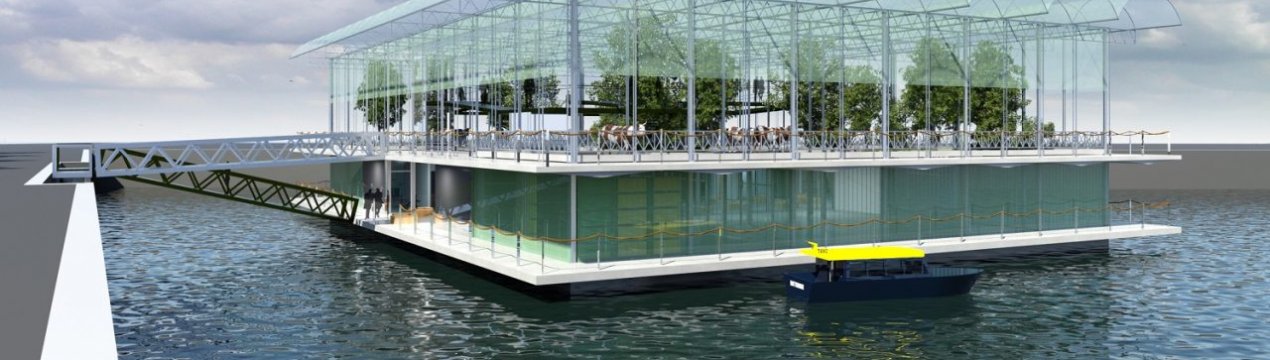 У Голландії на першу в світі плавучу ферму вже прибули корови