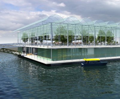 У Голландії на першу в світі плавучу ферму вже прибули корови