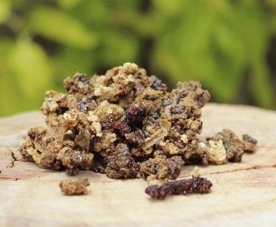 Як вибрати якісний прополіс: основні правила