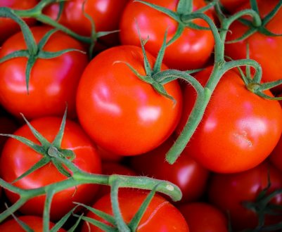 Кримські теплиці ломляться від першого врожаю томатів