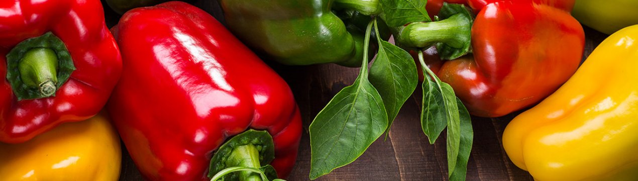 Фермери Закарпаття збирають урожай солодкого перцю закритого грунту