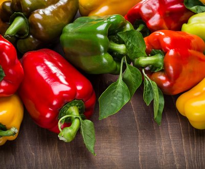 Фермери Закарпаття збирають урожай солодкого перцю закритого грунту