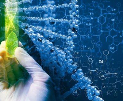 У Росії посилиться процес роботи з агрохімією і пестицидами