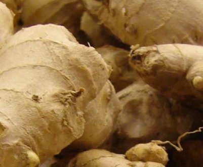 Як впливає імбир на артеріальний тиск: рекомендації