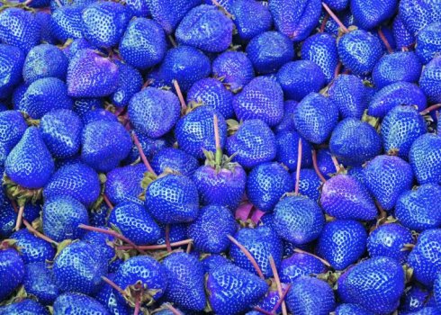 Буває полуниця синього, блакитного, фіолетового кольору