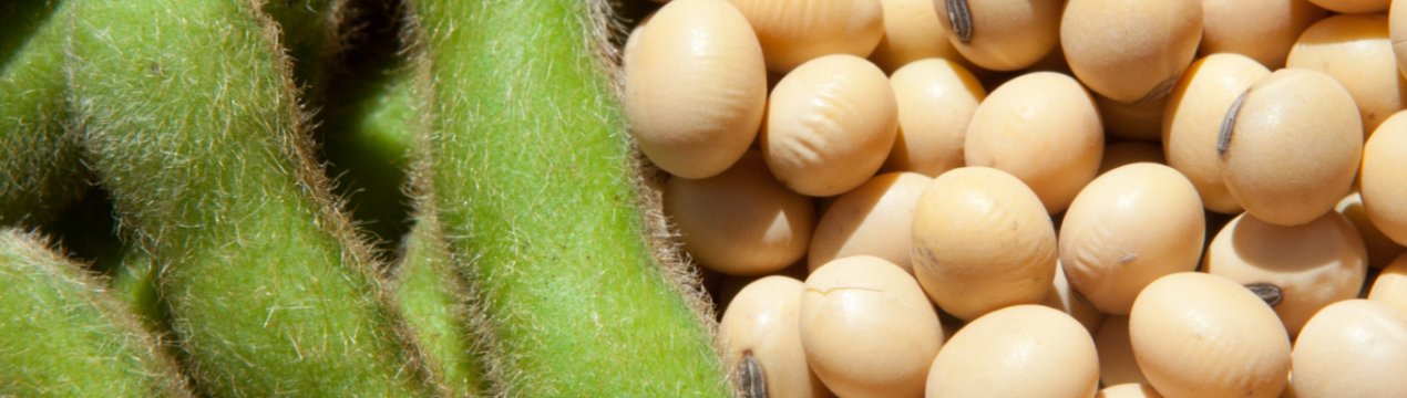 Бразильський експорт сої в Китай в 2019 році скоротився