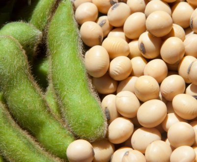 Бразильський експорт сої в Китай в 2019 році скоротився