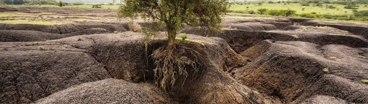 Попередження вчених: або негайне припинення ерозії ґрунту або в найближчому майбутньому голод
