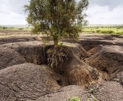 Попередження вчених: або негайне припинення ерозії ґрунту або в найближчому майбутньому голод