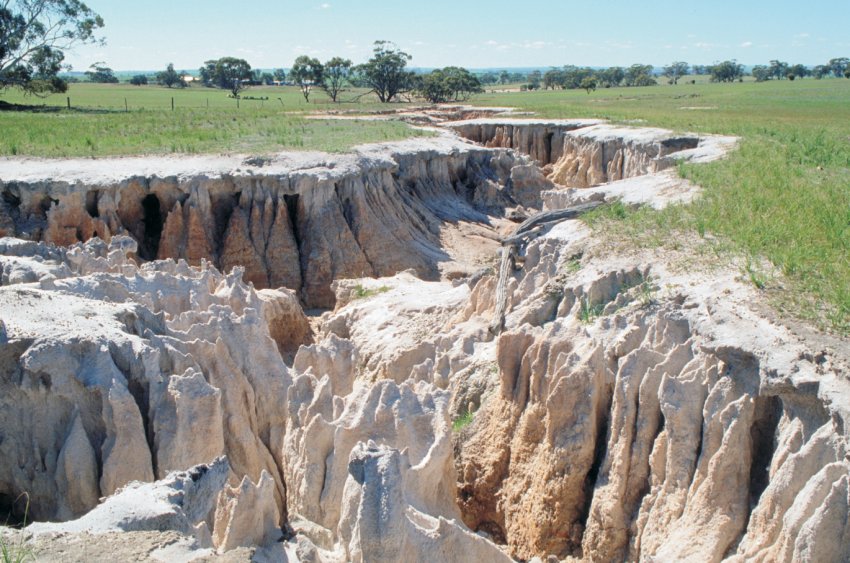 Попередження вчених: або негайне припинення ерозії ґрунту або в найближчому майбутньому голод