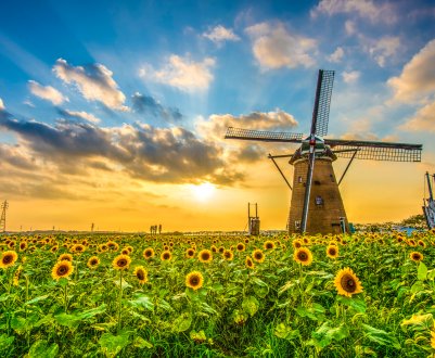  Головна загроза хорошого урожаю в Росії — погода