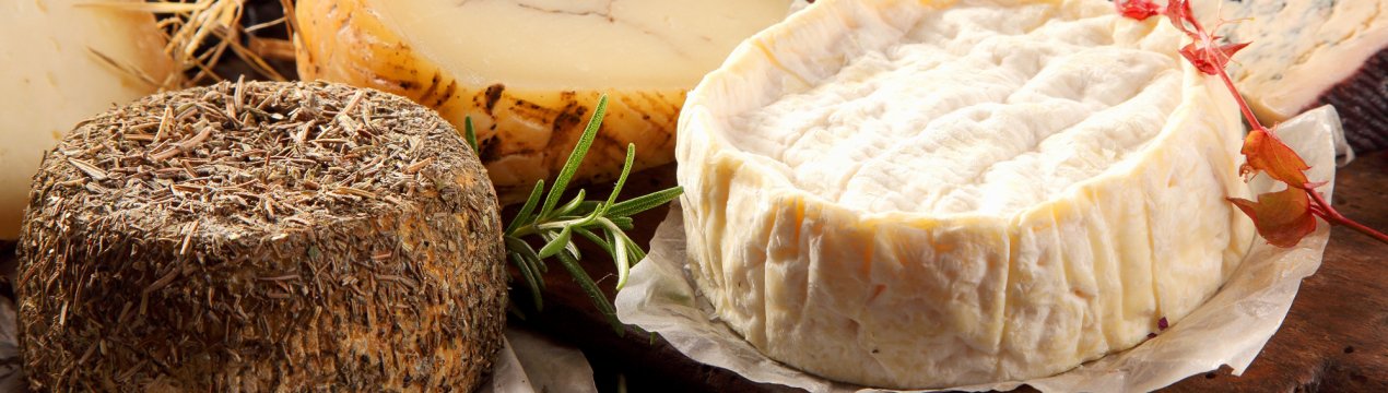 Московські молочники освоять виробництво сиру нетипового