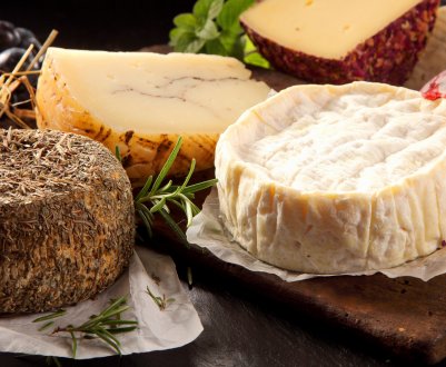 Московські молочники освоять виробництво сиру нетипового