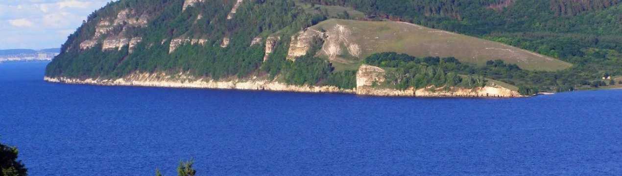 «Хімія» на полях України шкодить не лише бджолам: у Хмельницькій області стали хворіти люди