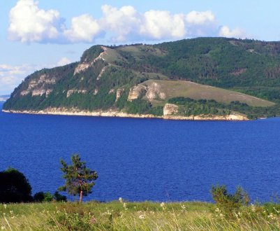 «Хімія» на полях України шкодить не лише бджолам: у Хмельницькій області стали хворіти люди