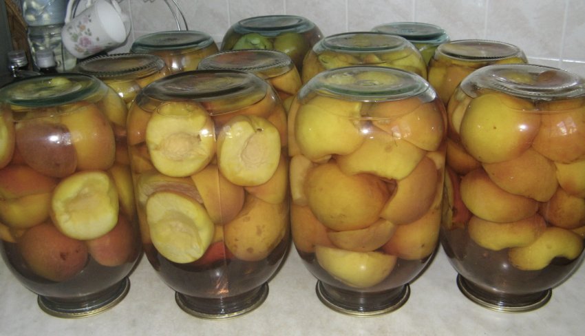 Компоти з персиків Компоти з персиків