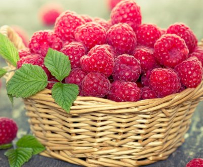 Малина для організму жінки: корисні властивості, протипоказання