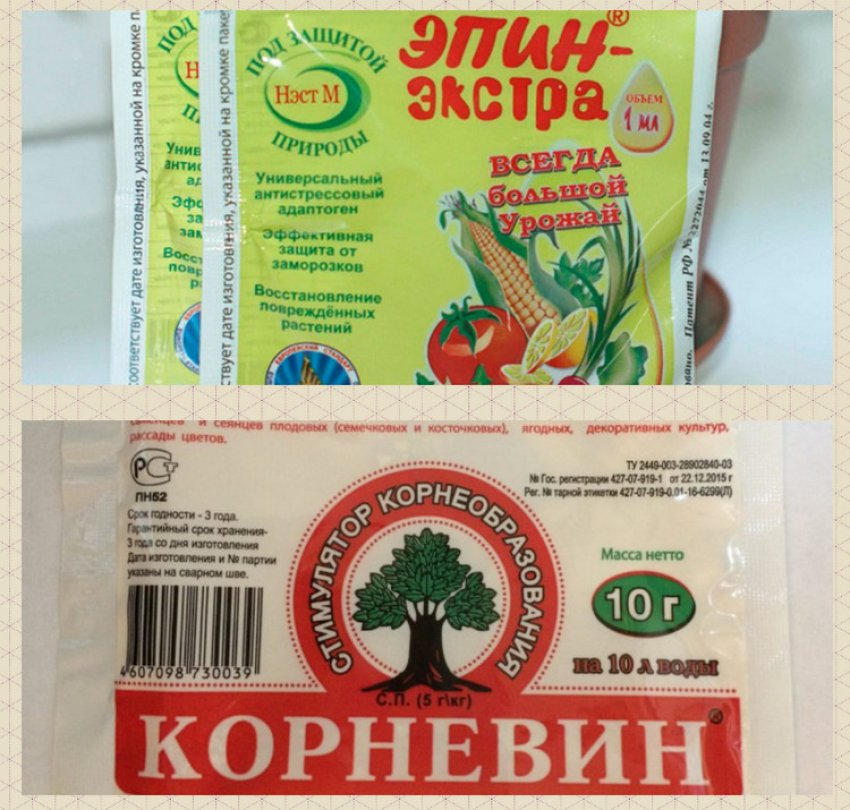 Препарати для полуниці