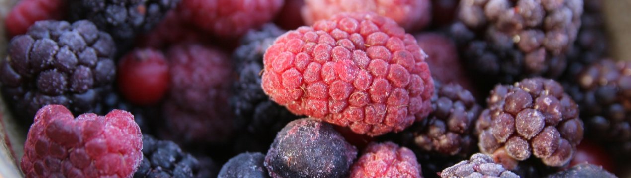 Україна заробила більше $80 млн. на експорті заморожених ягід і фруктів