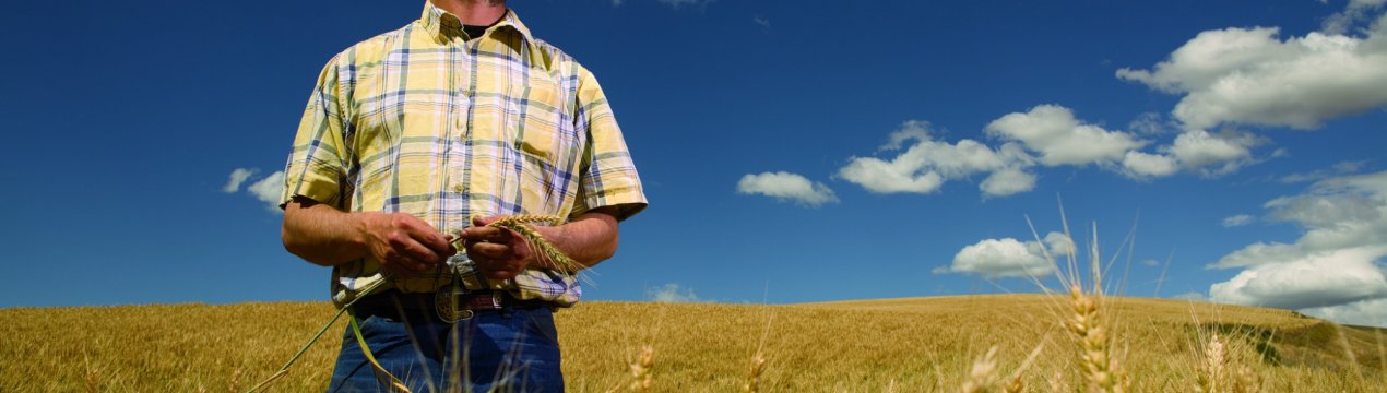 Американський Національний союз фермерів вважає, що потрібно допомогти усім фермерам